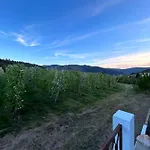Σπίτι διακοπών Casa Vicente Lamego