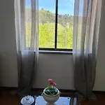 Feriehus Casa Vicente Lamego