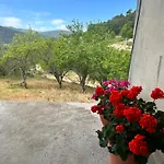 Casa Vicente