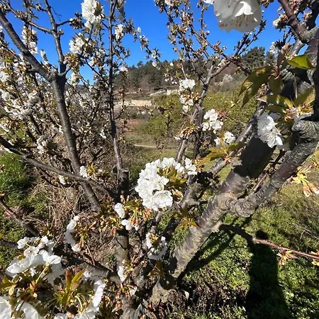 Casa Vicente 펜션 *