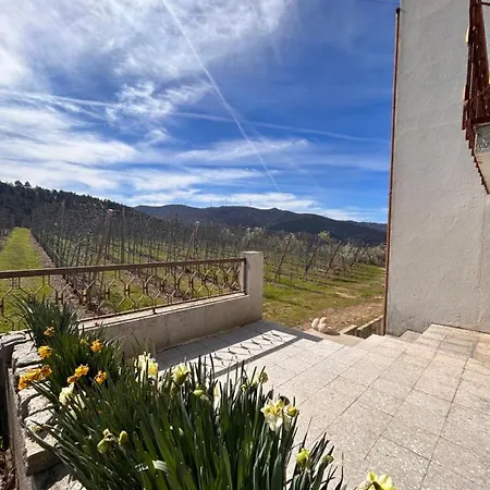 Casa Vicente