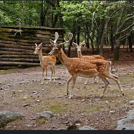 Casa Vicente Semesterbostad *