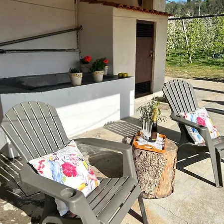 Casa Vicente *