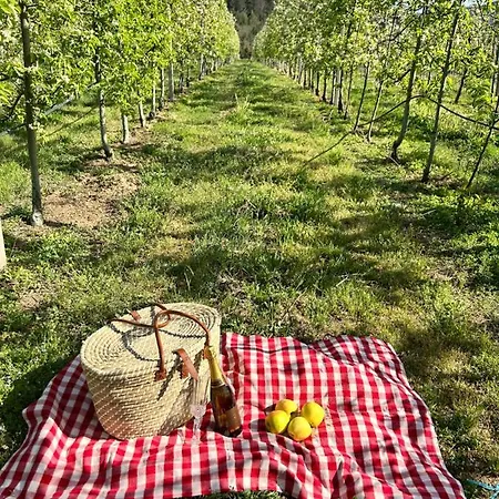 Casa Vicente بيت للعطل لاميغو