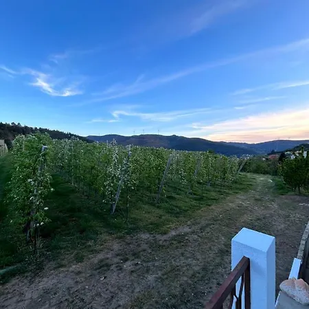 Дом отдыха Casa Vicente Ламегу
