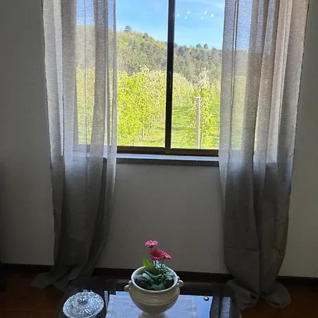 Дом отдыха Casa Vicente Ламегу