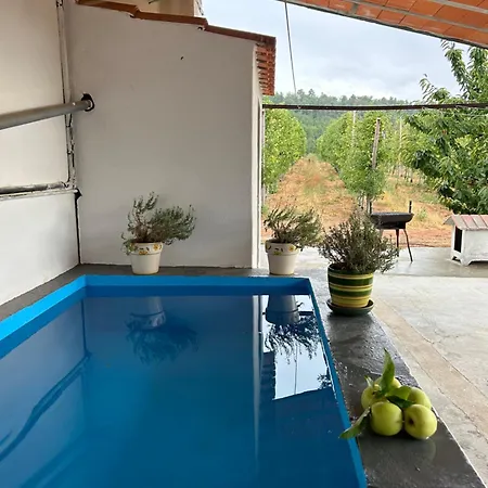 Casa Vicente Ламегу
