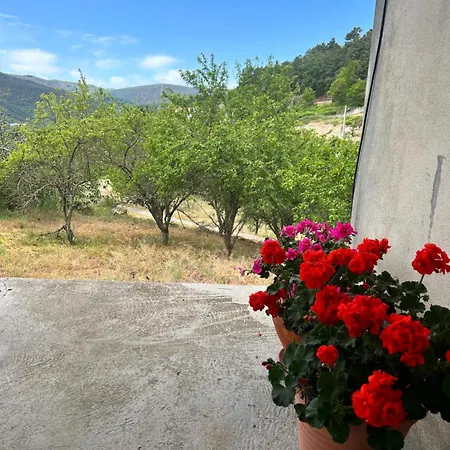 Casa Vicente
