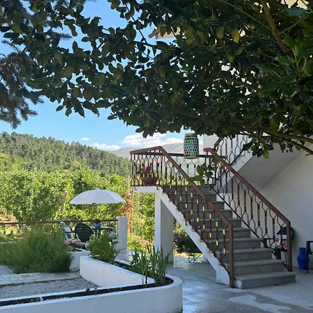 Casa Vicente *