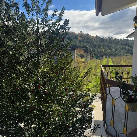 Semesterbostad Casa Vicente Lamego