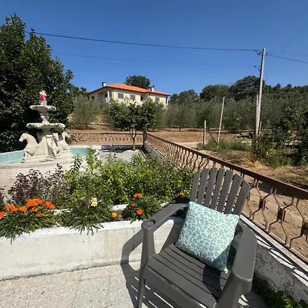 Casa Vicente * Lamego