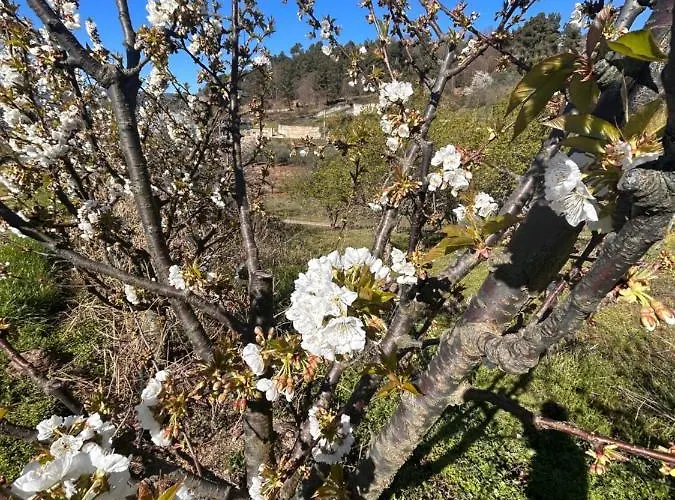 Casa Vicente Feriehus *