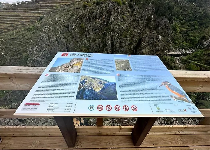 Tatil Evi Casa Vicente Lamego