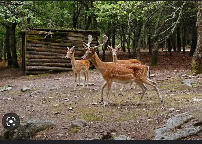 Casa Vicente 別荘 *