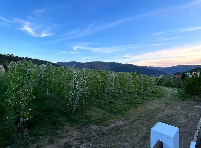 بيت للعطل Casa Vicente لاميغو