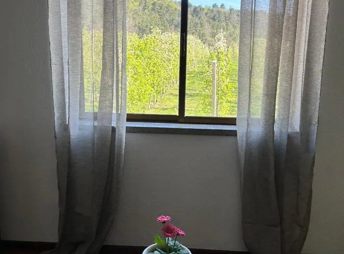 Tatil Evi Casa Vicente Lamego