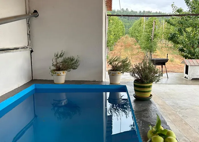 Casa Vicente ラメゴ