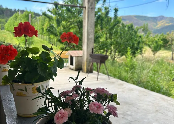 بيت للعطل Casa Vicente