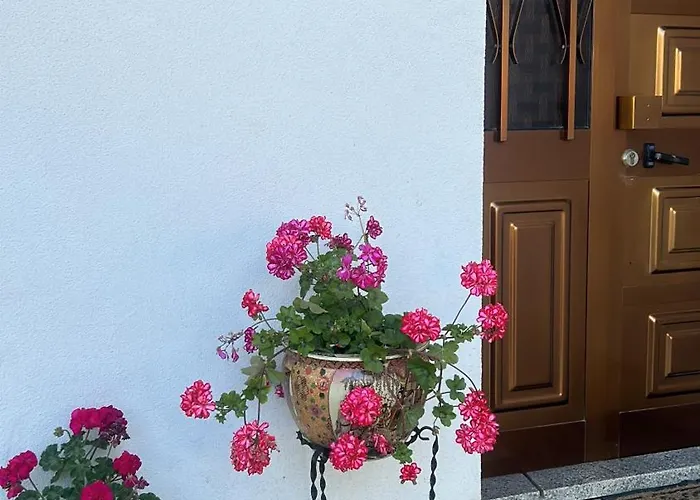 Casa Vicente * لاميغو