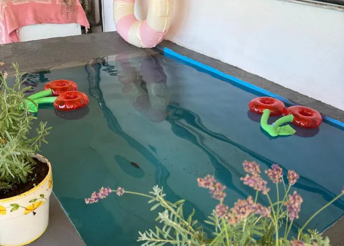 Casa Vicente * لاميغو