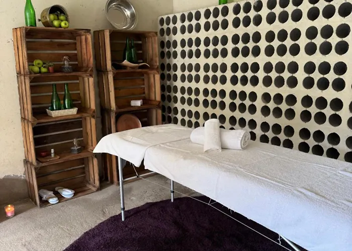 Casa Vicente Holiday home Lamego