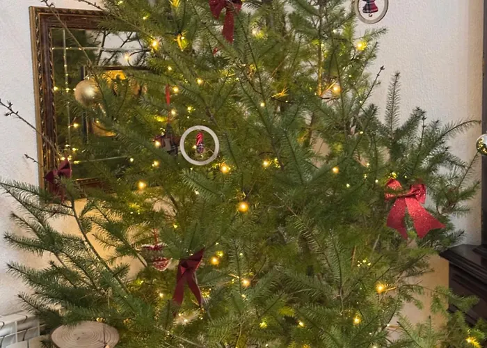 Casa Vicente Holiday home