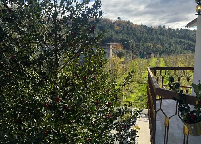 Hébergement de vacances Casa Vicente Lamego